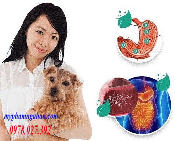 detoxic-diet-ki-sinh-trung-hang-noi-dia-nga-2 (1)