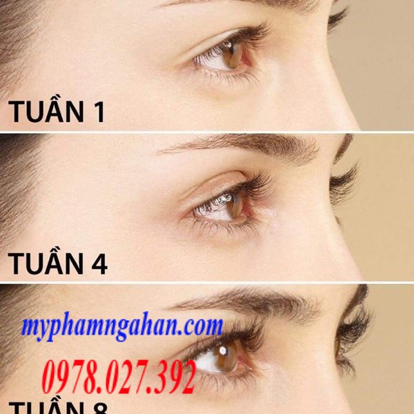 huyet-thanh-duong-mi-eveline-8in1-total-action-2 (1)